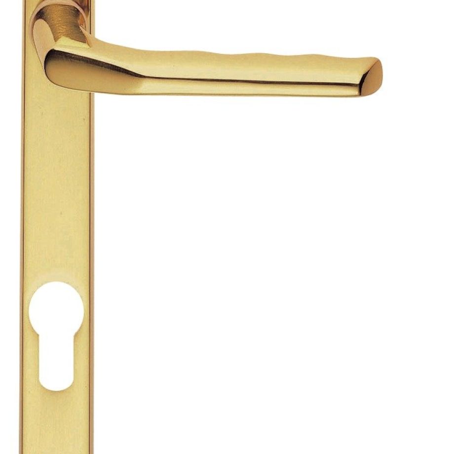 Narrow Plate with Straight Lever