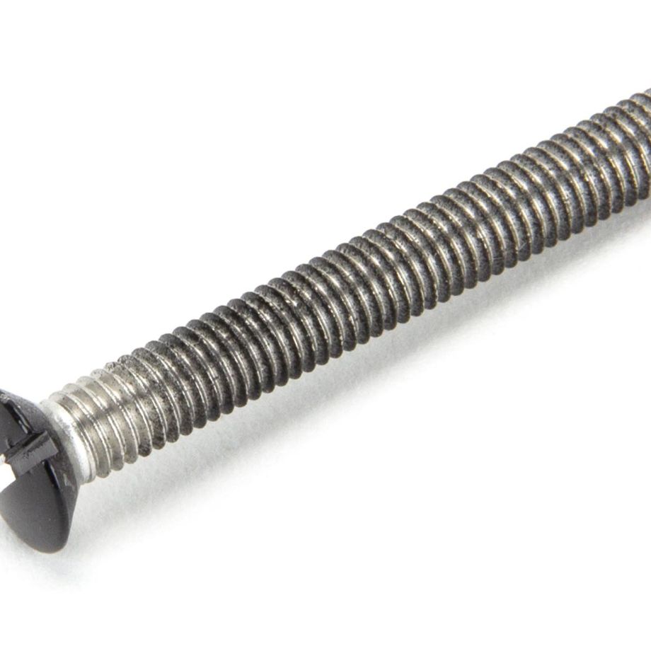 Black SS M5 x 40mm CS RH Bolt (1)