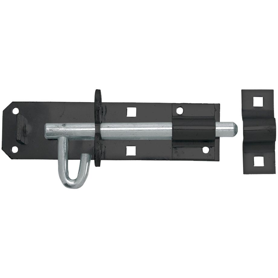 Medium Brenton Padbolt