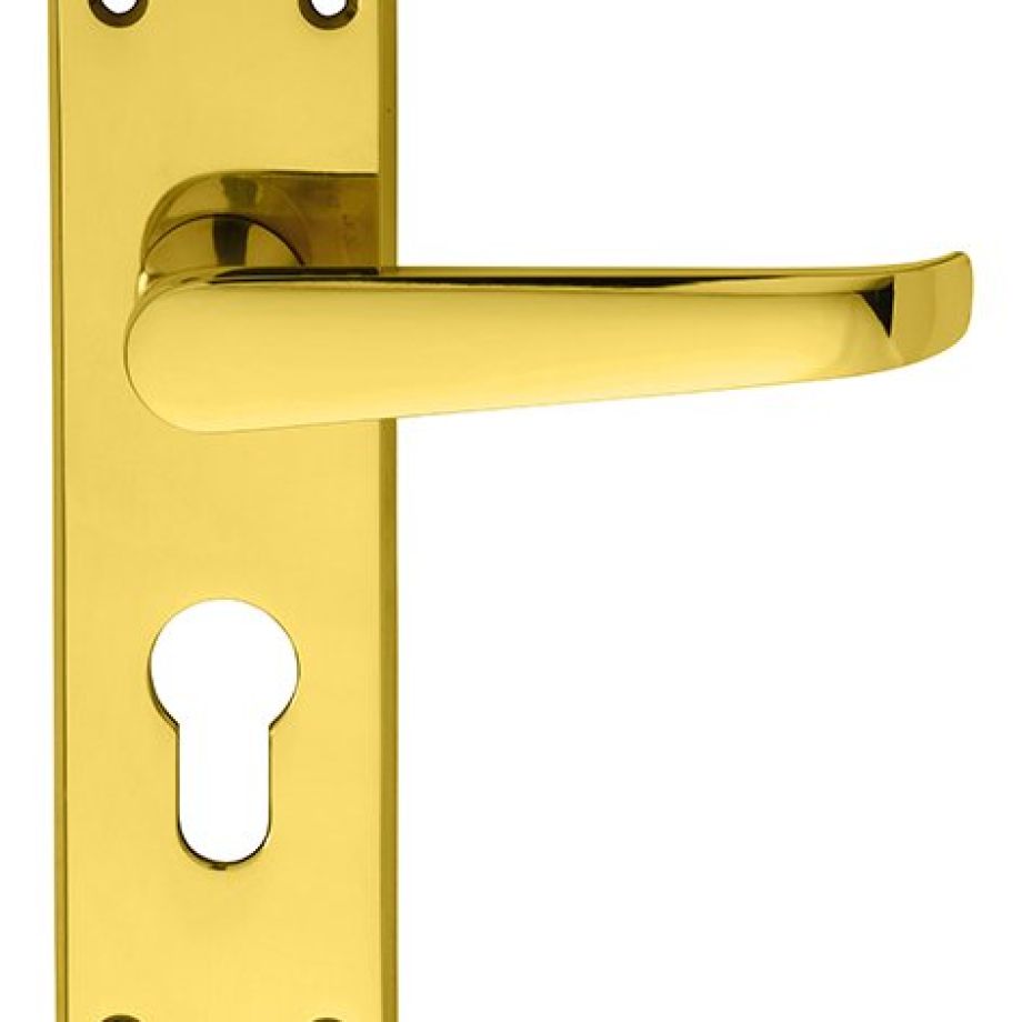 Victorian Lever on Backplate