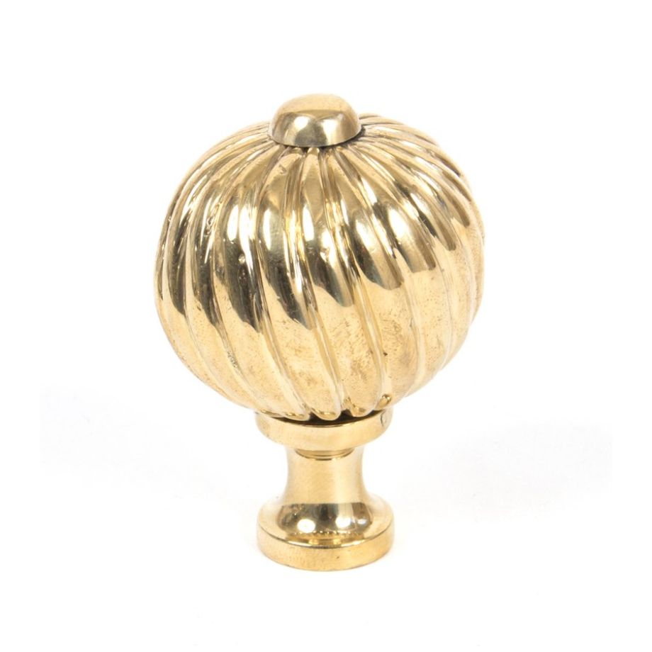 Polished Brass Spiral Cabinet Knob