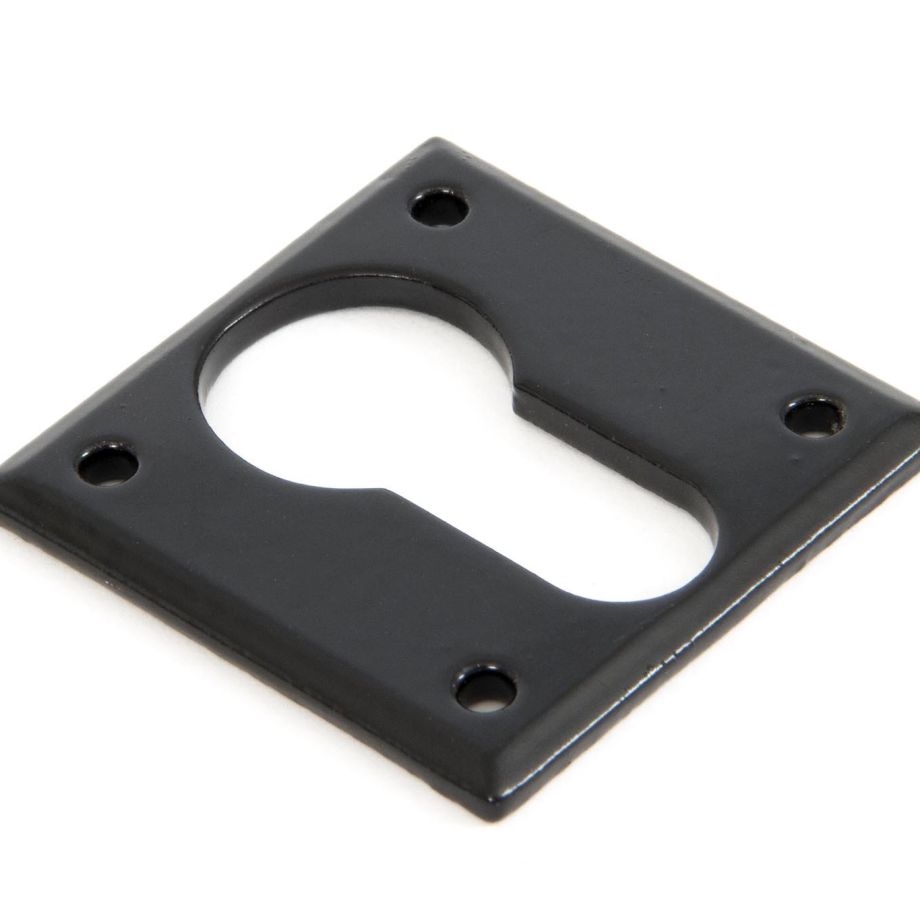 Avon Escutcheon