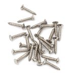 Anvil Csk RaisedHead Screws (25)