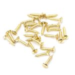 Anvil Csk RaisedHead Screws (25)