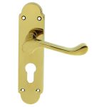 Oakley Lever on Backplate