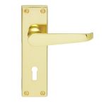 Contract Victorian Lever on Backplate