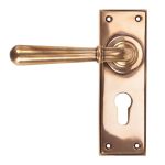 From The Anvil Newbury Lever Set