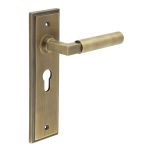 Burlington Westminster Lever on Back Plate