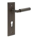 Burlington Westminster Lever on Back Plate