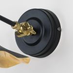 Smooth Brass Flora Wall Light in Elan Black