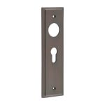 Burlington II Lever Plate Choices