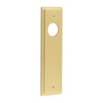 Burlington II Lever Plate Choices