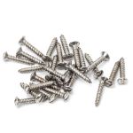 Anvil Csk RaisedHead Screws (25)