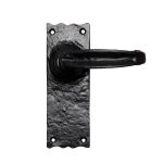 Traditional V Lever on Backplate