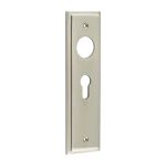 Burlington II Lever Plate Choices