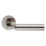 Amiata Lever on Rose
