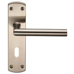 Steelworx Residential Mitred Lever on Backplate