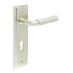 Burlington Piccadilly Lever on Back Plate