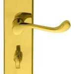 Victorian Scroll Lever on Shaped Backplate
