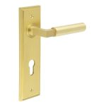 Burlington Westminster Lever on Back Plate