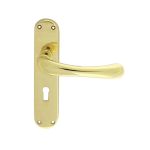 Ibra Lever On Backplate