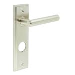 Burlington Richmond Lever on Back Plate