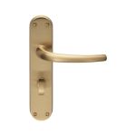 Lilla Lever on Backplate