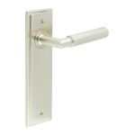 Burlington Piccadilly Lever on Back Plate