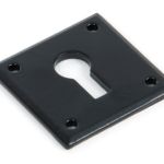 Avon Escutcheon