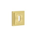 Burlington Standard Keyway Escutcheons