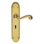 Chesham Lever on Backplate