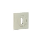 Burlington Standard Keyway Escutcheons