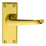 Victorian Ascot Lever on Backplate