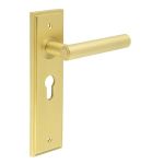 Burlington Richmond Lever on Back Plate