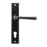 From The Anvil Regency Lever on Backplate Set
