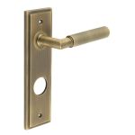 Burlington Piccadilly Lever on Back Plate