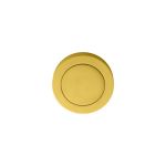 Blank Escutcheon