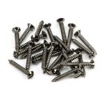 Anvil Csk RaisedHead Screws (25)