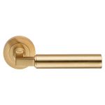 Amiata Lever on Rose