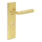 Burlington Piccadilly Lever on Back Plate