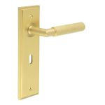 Burlington Piccadilly Lever on Back Plate