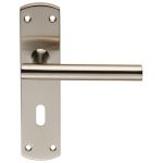 Steelworx Residential T Bar Lever on Backplate
