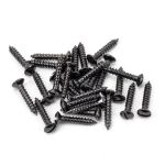 Anvil Csk RaisedHead Screws (25)