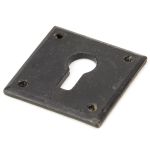 Avon Escutcheon