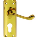 Ashtead Lever on Backplate