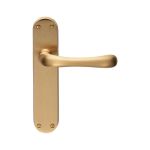 Ibra Lever on Backplate
