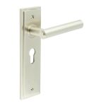 Burlington Richmond Lever on Back Plate
