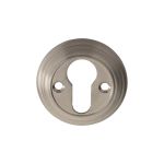 Delamain Euro Profile Escutcheon