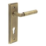 Burlington Westminster Lever on Back Plate