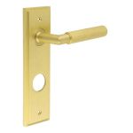Burlington Piccadilly Lever on Back Plate